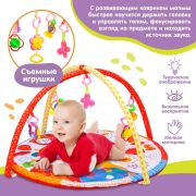2990620 Коврик развивающий с дугами Совушка