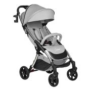 Коляска детская прогулочная  Farfello Sunrise (Silver Grey/Серый на серебре FS-003)